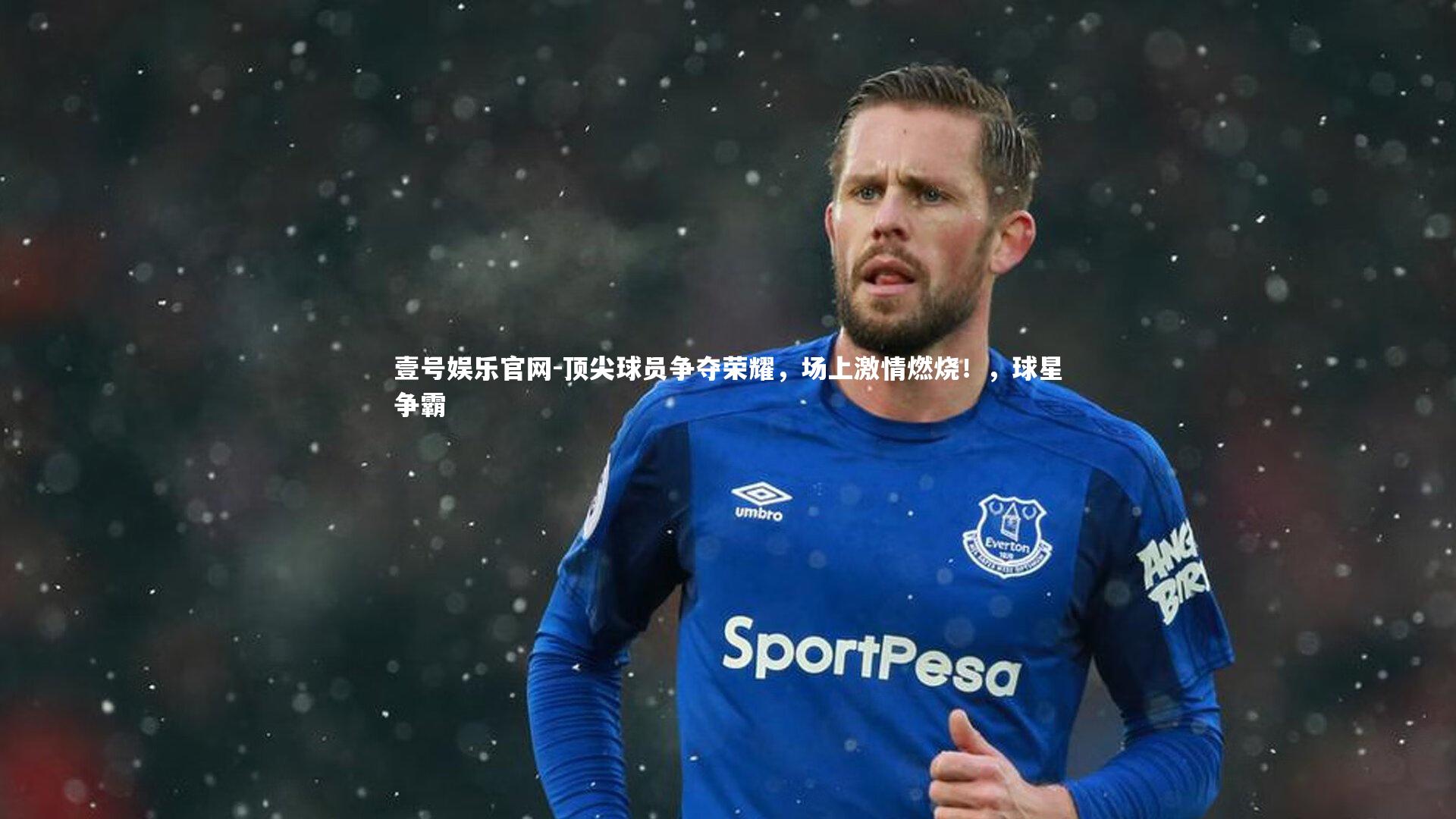 顶尖球员争夺荣耀，场上激情燃烧！，球星争霸